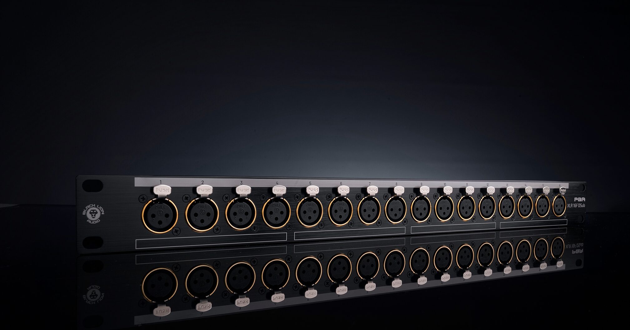 Black Lion Audio PBR XLR 16F DSub 16-Point XLR-F Patch Bay, New, Action Position Back