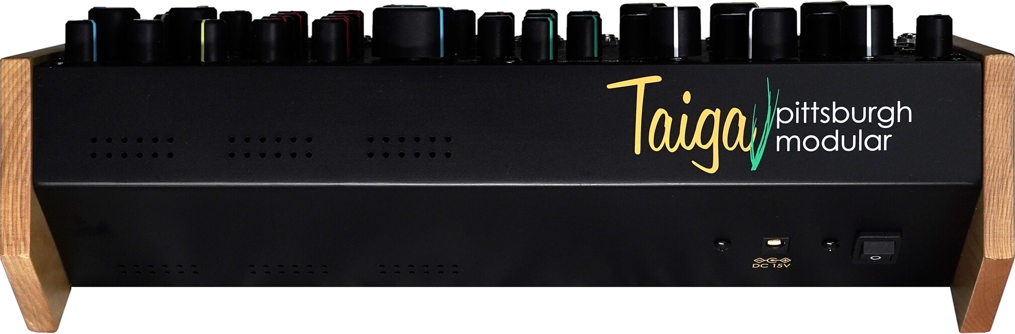 Pittsburgh Modular Taiga Paraphonic Analog Synthesizer, New, Action Position Back