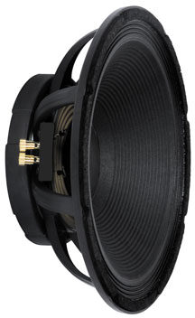 open zoom image for Peavey 1502 DT BW Black Widow Speaker (15"), Main