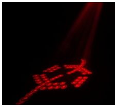 open zoom image for Chauvet Vue 4.1 LED Moonflower Light, FX 2