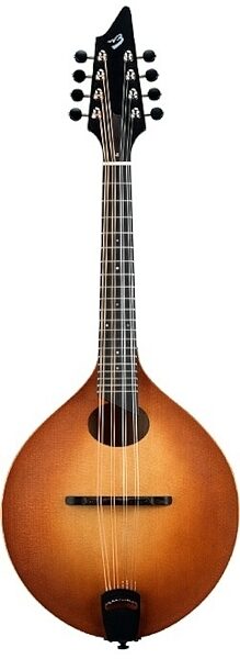 open zoom image for Breedlove American OO Vintage Mandolin (with Case), Main