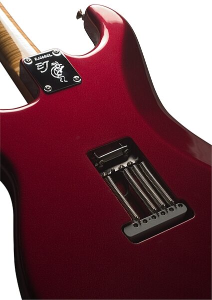 open zoom image for Fender Eric Johnson Stratocaster Electric Guitar (Maple with Case), Back Detail