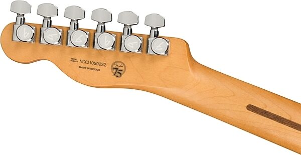 open zoom image for Fender Player Plus Nashville Telecaster Electric Guitar, Maple Fingerboard (with Gig Bag), Action Position Back