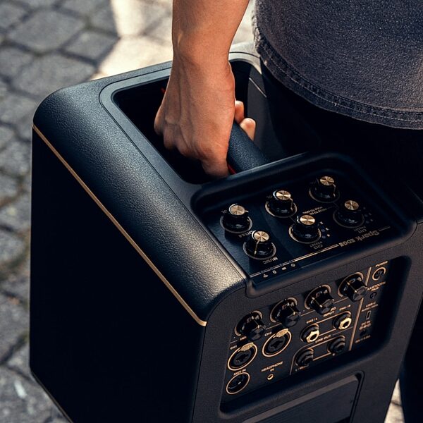open zoom image for Positive Grid Spark EDGE Portable Smart Amp and PA System, New, In Use
