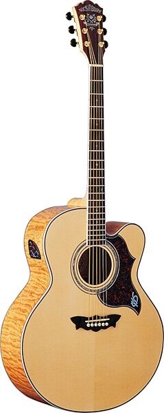 open zoom image for Washburn J28SCEDL Cumberland Jumbo Acoustic-Electric Guitar (with Case), Main