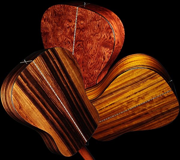 open zoom image for Fender DG22SCE Exotic Hardwood Acoustic-Electric Guitar, Group Backs 2