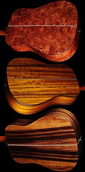 open zoom image for Fender DG22SCE Exotic Hardwood Acoustic-Electric Guitar, Group Backs 1