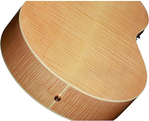 open zoom image for Fender CJ-290SCE Jumbo Maple Acoustic-Electric Guitar, Back
