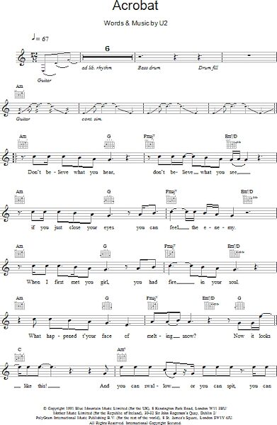 open zoom image for Acrobat - Fake Book, New, Main