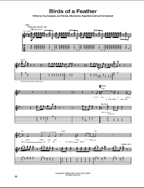 open zoom image for Birds Of A Feather - Guitar TAB, New, Main