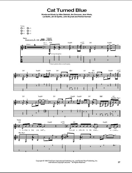 open zoom image for Cat Turned Blue - Guitar TAB, New, Main
