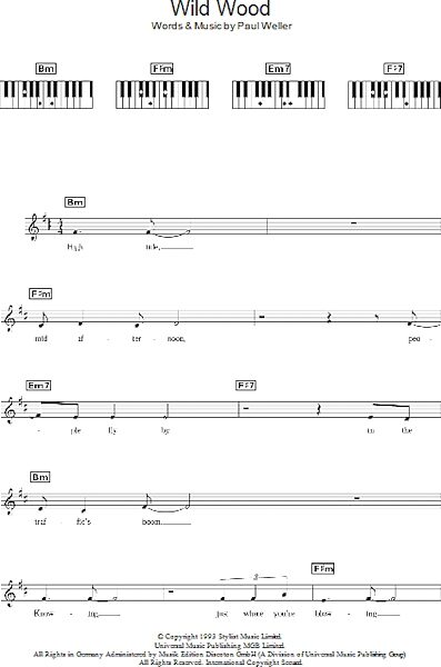 open zoom image for Wild Wood - Piano Chords/Lyrics, New, Main