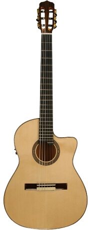 open zoom image for Cordoba Fusion 14 Maple Classical Acoustic-Electric Guitar with Gig Bag, Main