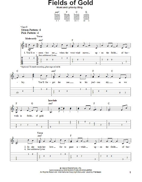 open zoom image for Fields Of Gold - Easy Guitar with TAB, New, Main