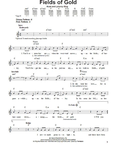 open zoom image for Fields Of Gold - Easy Guitar, New, Main