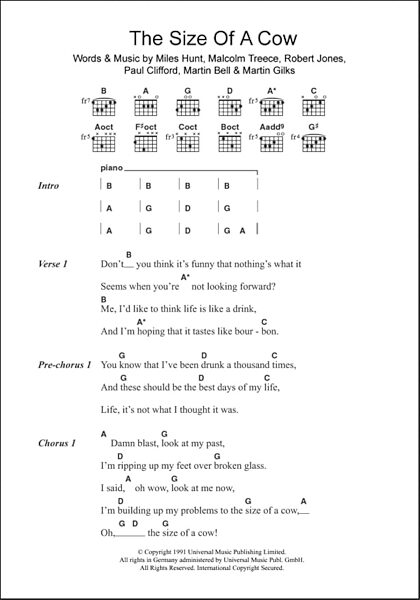 open zoom image for The Size Of A Cow - Guitar Chords/Lyrics, New, Main