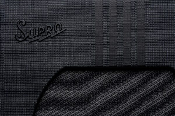 open zoom image for Supro Delta King 12 Guitar Combo Amplifier (15 Watts, 1x12"), Black/Black, Action Position Back