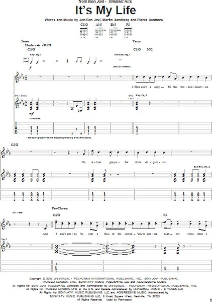 open zoom image for It's My Life - Guitar TAB, New, Main