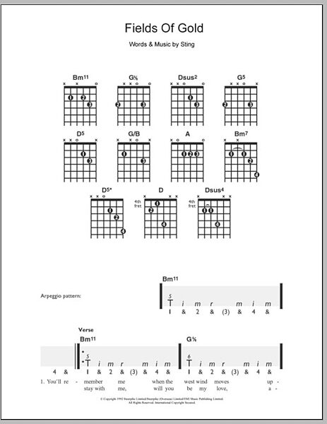 open zoom image for Fields Of Gold - Easy Guitar, New, Main