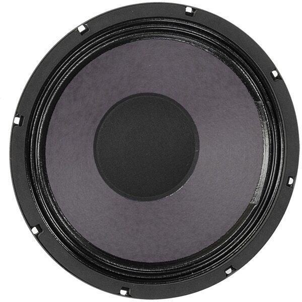 open zoom image for Eminence Ragin' Cajun Patriot Guitar Speaker (75 Watts, 10"), 8 Ohms, Front--Ragin Cajun