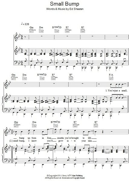open zoom image for Small Bump - Piano/Vocal/Guitar, New, Main