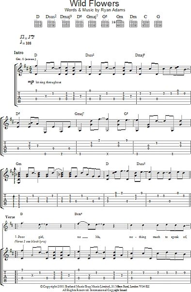 open zoom image for Wild Flowers - Guitar TAB, New, Main