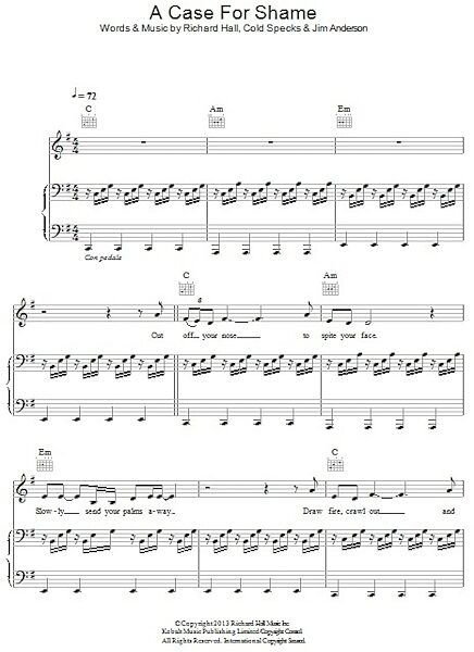 open zoom image for A Case For Shame - Piano/Vocal/Guitar, New, Main