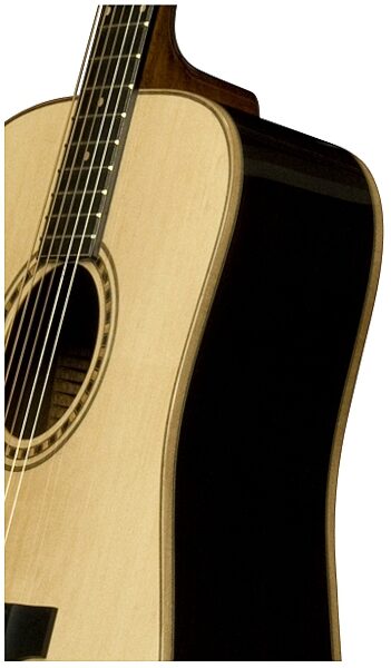 open zoom image for Bedell TB-28-G Dreadnought Acoustic Guitar (with Case), Body Closeup--tb-28-g-2