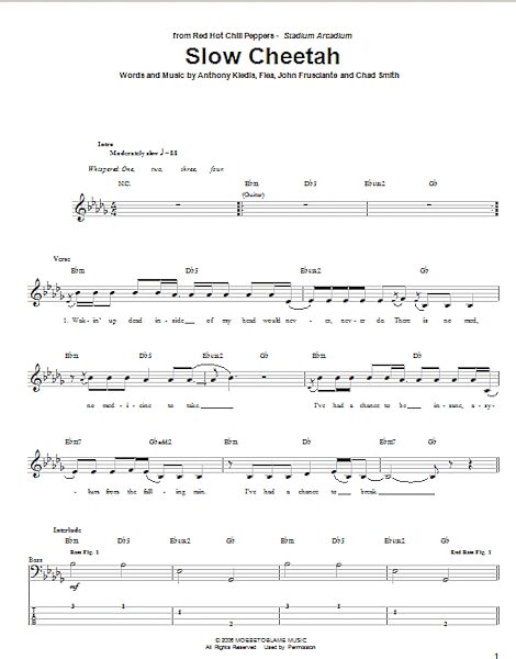 open zoom image for Slow Cheetah - Bass Tab, New, Main