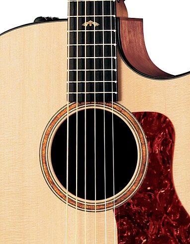 open zoom image for Taylor 310CEL30 30th Anniversary Acoustic-Electric Guitar (with Case), Soundhole