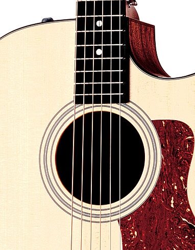 open zoom image for Taylor 310ce Dreadnought Cutaway Acoustic-Electric Guitar (with Case), Soundhole