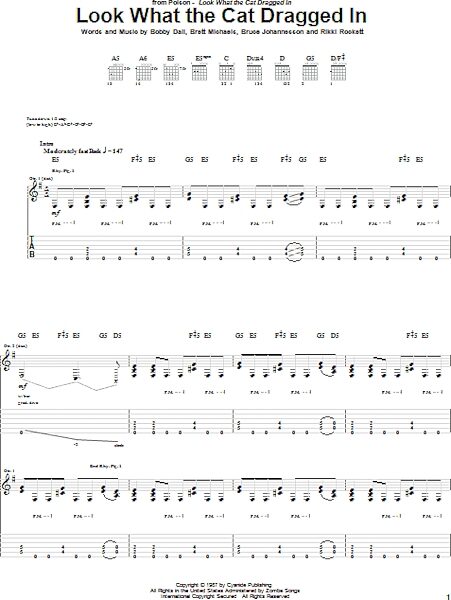open zoom image for Look What The Cat Dragged In - Guitar TAB, New, Main