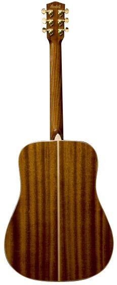 open zoom image for Bedell TB-18-G Dreadnought Acoustic Guitar (with Gig Bag), Back--tb-18-g-3