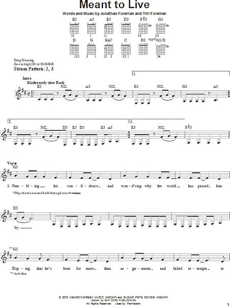open zoom image for Meant To Live - Easy Guitar, New, Main