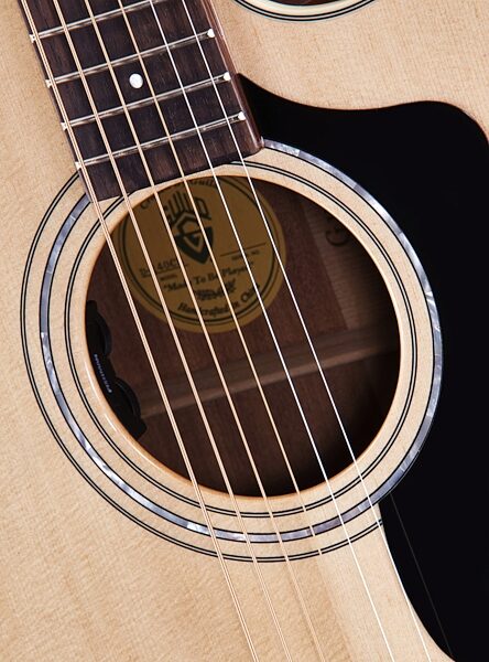 open zoom image for Guild D-140CE Dreadnought Acoustic-Electric Guitar with Case, Soundhole