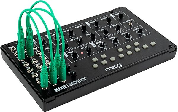 open zoom image for Moog Mavis Desktop Analog Synthesizer, New, Angled Control Panel