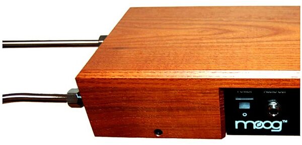 open zoom image for Moog Music Standard Etherwave Theremin, Closeup