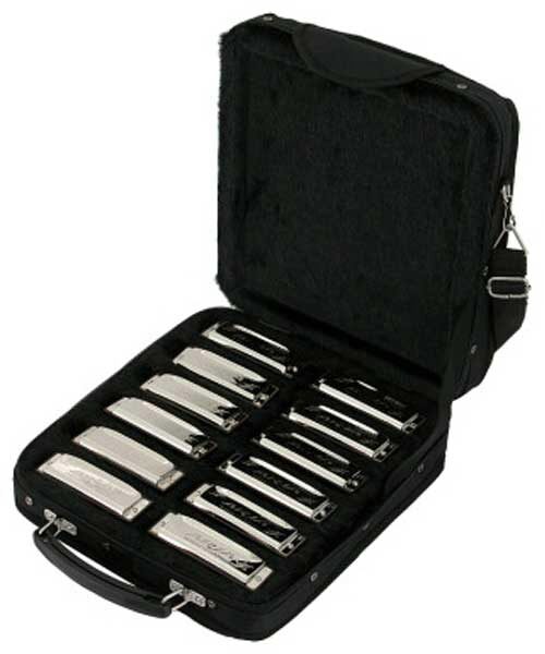 open zoom image for Aria AH1020 12-Piece Harmonica Set (with Case), Main