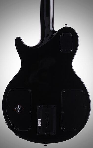 open zoom image for Line 6 JTV59 James Tyler Variax Electric Guitar (with Gig Bag), Body Straight Back