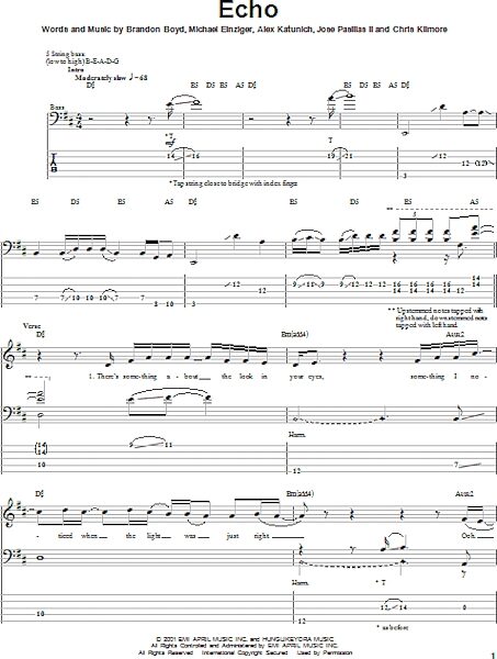 open zoom image for Echo - Bass Tab, New, Main