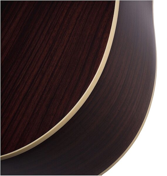 open zoom image for Schecter Royal Acoustic-Electric Guitar (with Case), Closeup 1