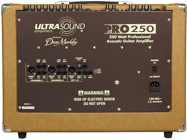 open zoom image for UltraSound PRO-250 Acoustic Guitar Amplifier (250 Watts, 1x10"), Back