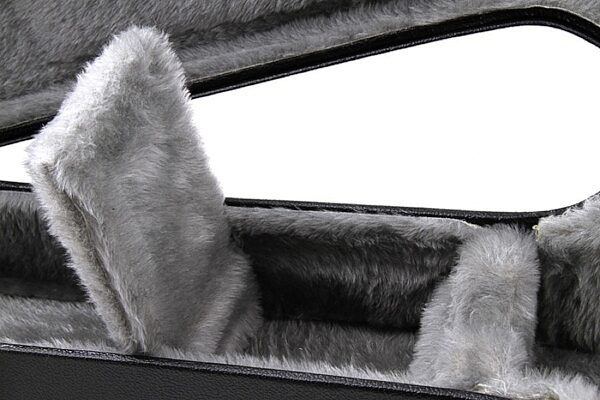 open zoom image for Gretsch G6241FT Economy Flat Hollowbody Electric Guitar Case, New, Compartment