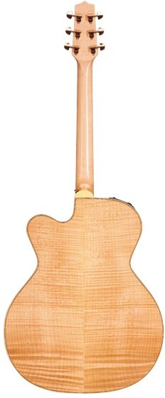 open zoom image for Takamine TF250SMCSB Jumbo Acoustic-Electric Guitar (with Case), Gloss Natural - Back