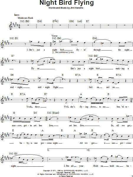 open zoom image for Night Bird Flying - Easy Guitar, New, Main