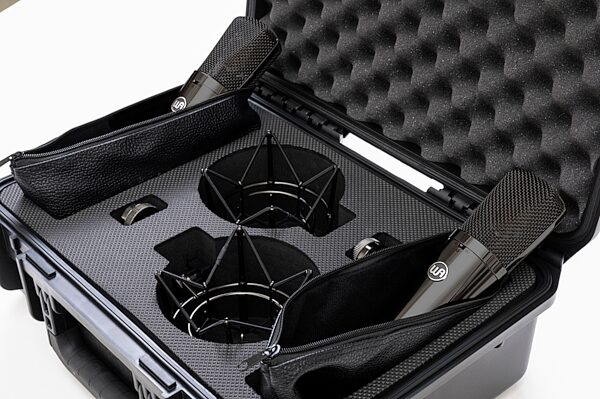 open zoom image for Warm Audio WA-87 R2 TS Titanium Condenser Microphones Stereo Pair, Pair, Action Position Back