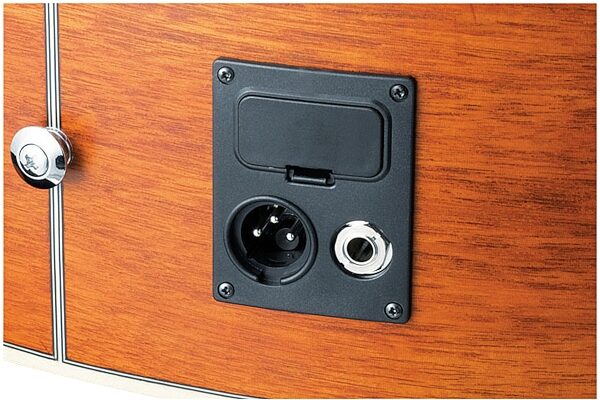 open zoom image for Ibanez AW250ECE Artwood Acoustic-Electric Guitar, Pickup