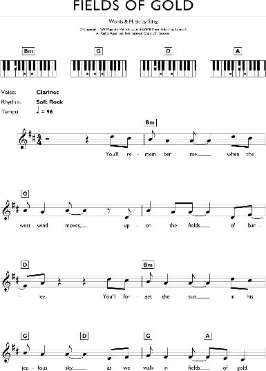 open zoom image for Fields Of Gold - Piano Chords/Lyrics, New, Main