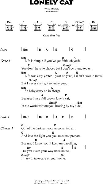 open zoom image for Lonely Cat - Guitar Chords/Lyrics, New, Main