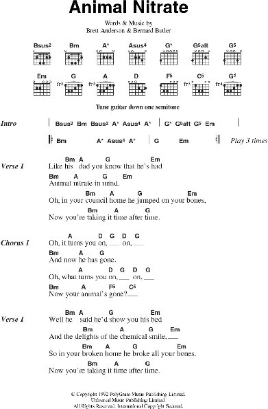 open zoom image for Animal Nitrate - Guitar Chords/Lyrics, New, Main